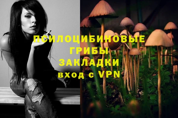 СК Нея