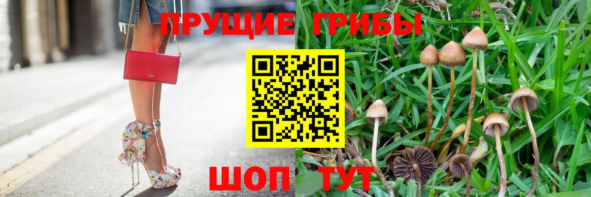 Галлюциногенные грибы мухоморы Сызрань